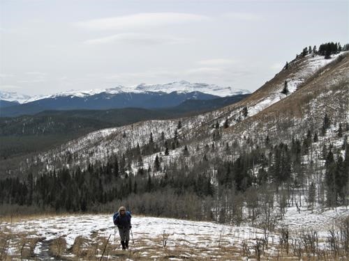 At the saddle between Windy Point and Foran Grade ridge