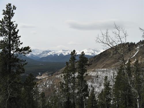 View west