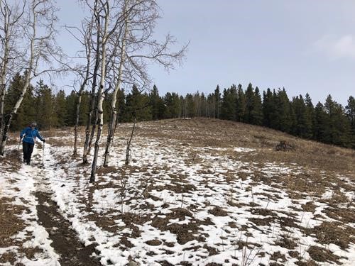 Ambling down Elbow Valley Trail