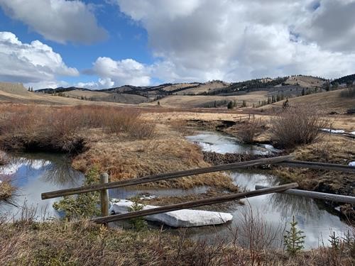 The upper meadows of Camp Creek
