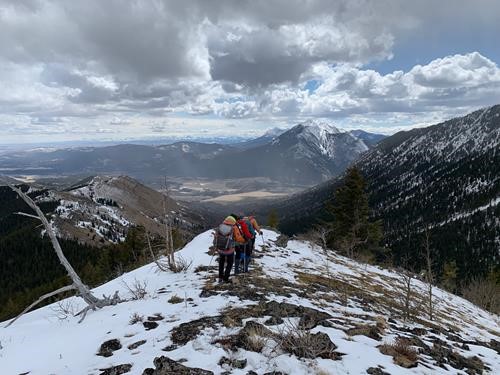 Along the upper section of Camp Creek Ridge