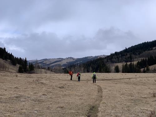 The wide expansive meadows in Camp Creek