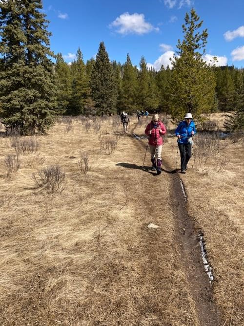 Muddy Trail
