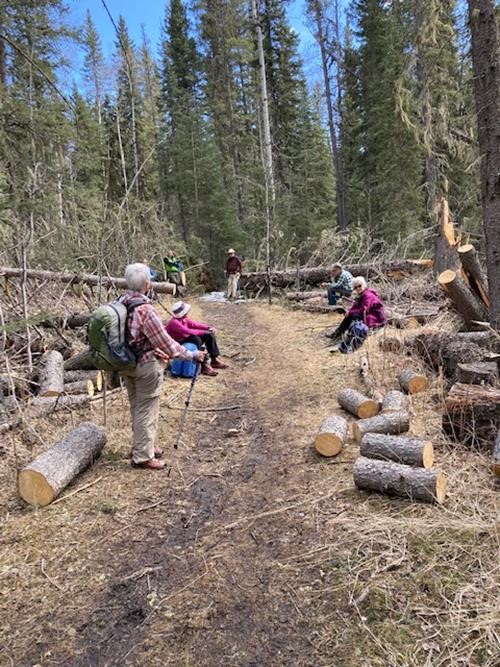 Deadfall Cleared- Thanks to Calgary Mountain Bike Alliance