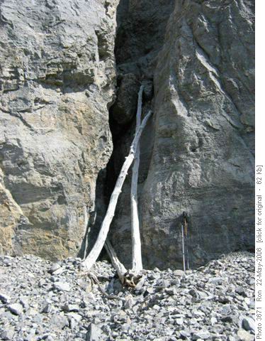 Crux, peak north of Yamnuska