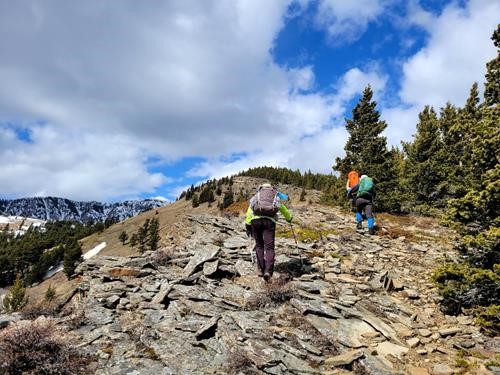 Lower Camp Creek Ridge - Ascent Route