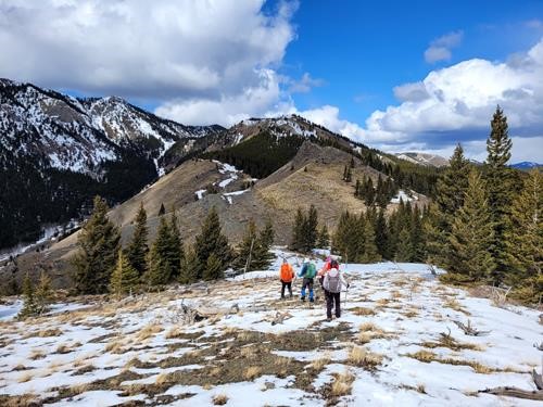 Camp Creek Ridge - Lower Section Ascent Route