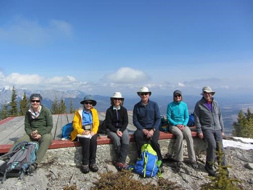 A sunny lunch spot at Barrier Lookout
