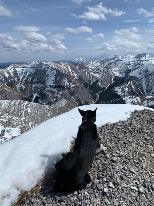 Compression & Howard from Mt Bryant