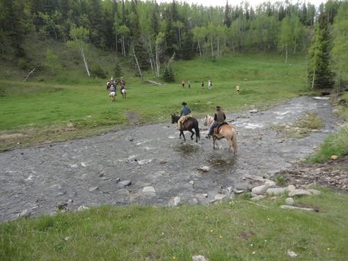 Horses crossing Dyson Creek just above Dyson Falls on the trail to Junction Mountain Lookout
