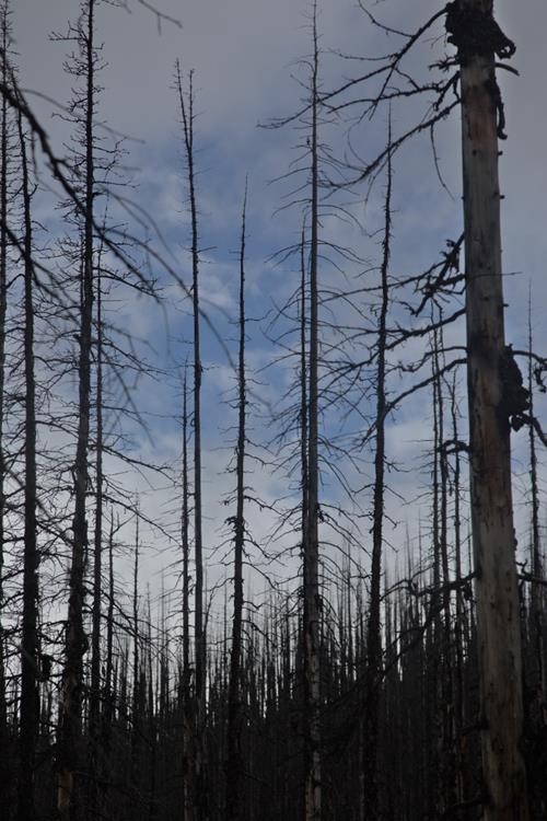 Enjoying the brief moments of blue sky