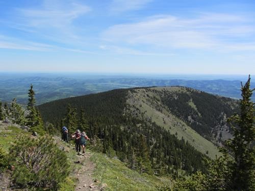 A train of Ramblers chugging up the east side of the highest Bull Creek Hill.