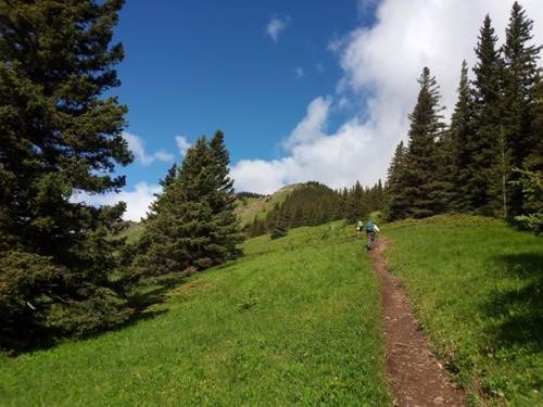 Ascending the meadows to the ridge crest