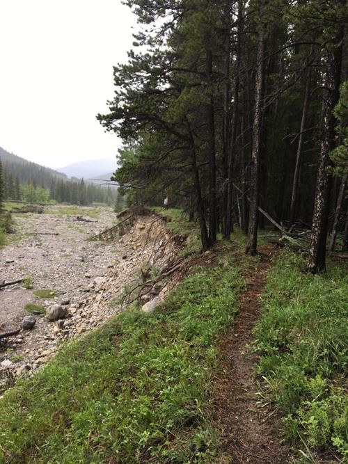 Soggy trail along Salter Creek