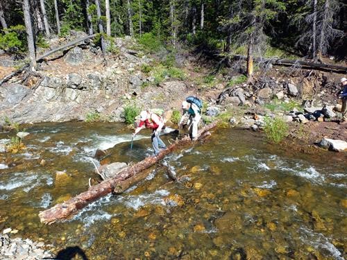 Easy creek crossing on a solid log