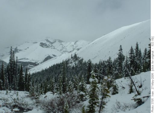 Upper Canyon Creek