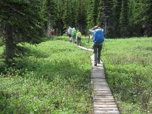 Forum Lake trail boardwalk