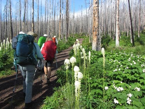 starting up the trail