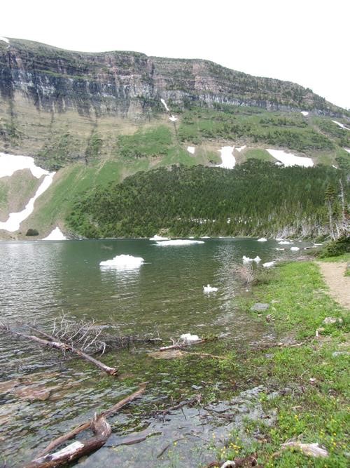 icebergs in Forum Lake