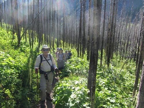 {1168 john Gapp} leads the brigade through the burned lower Rowe Creek valley in Waterton