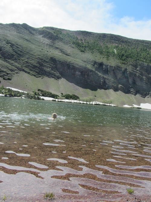 aquabelle Barb braves the cold waters of Upper Rowe Lake