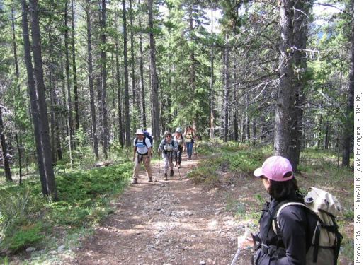 Powderface South: lower trail