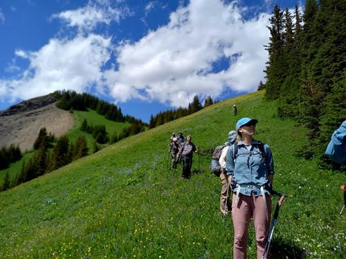 On the steep way down