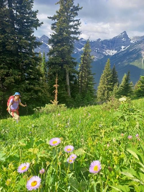 Greener than green meadows