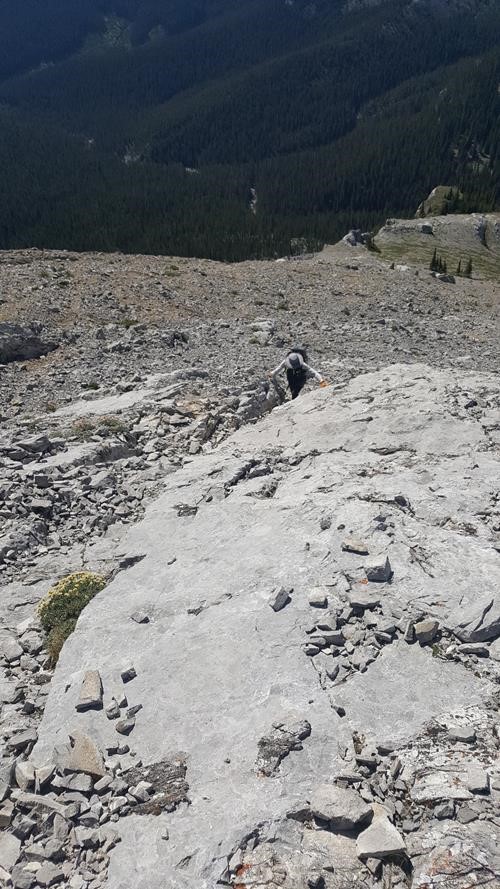Kate ascending the final scramble to Belmore Brown