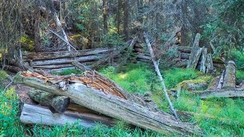 We saw the remnants of an old cabin by the creek. 