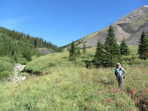 Barb in the upper meadows on the way to the col