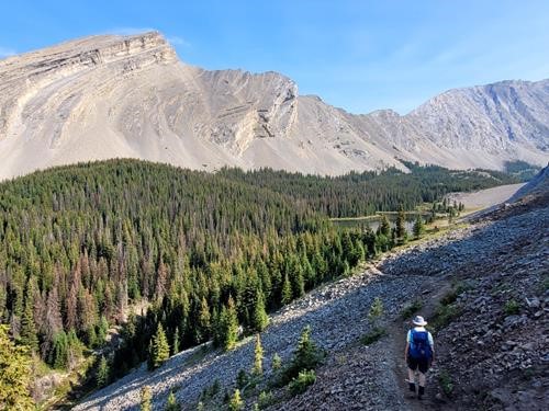 descending to the first Picklejar Lake