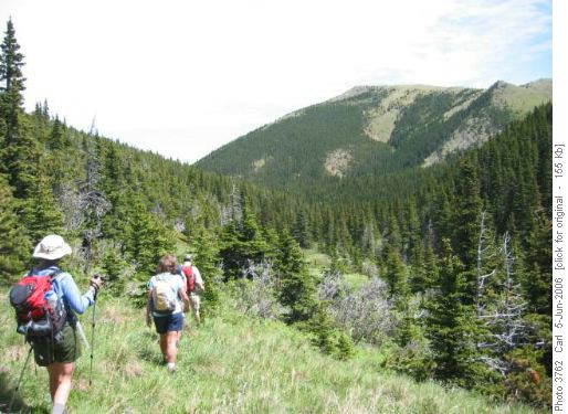 Bull Creek trail