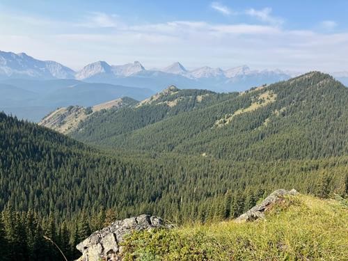 The view west from Stoney Cat Ridge