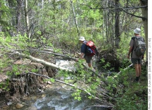 one way to cross Fitsimmons Creek