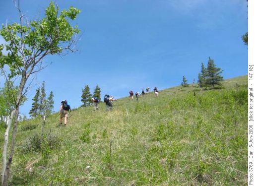 Ramblers swarm up the Strawberry Hills