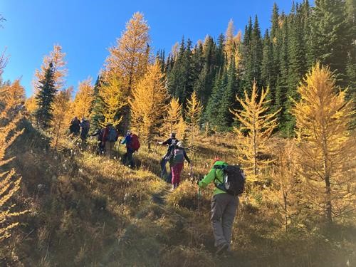 Climbing up through the glorious colours