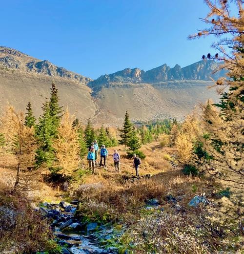 Reaching the upper meadow in Purple Bowl