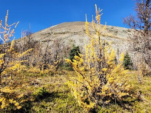 Fairview Mountain from Saddle Pass