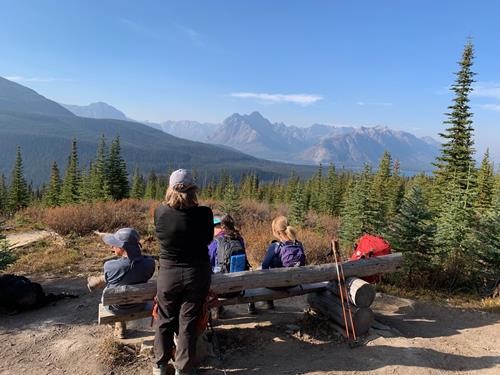 Nice High Rockies Trail bench