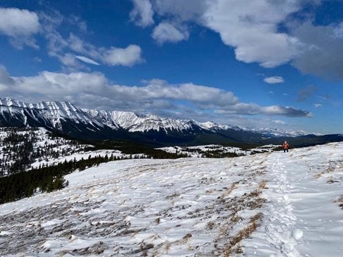 Views along ridge, looking north