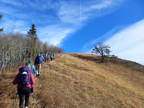 Blue sky , brown meadows and leafless trees.