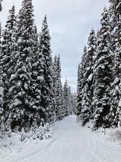 Scenes along the trail