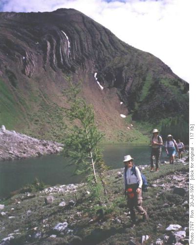 Tarn on south side of Pocaterra Ridge