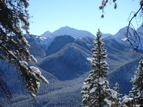 View from Lipsett trail