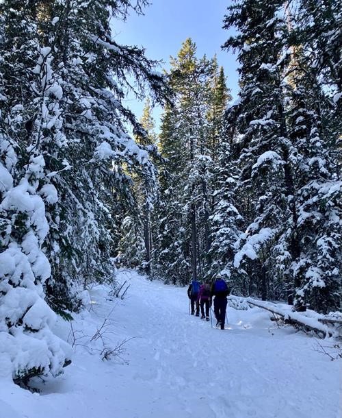 On the snowy trail