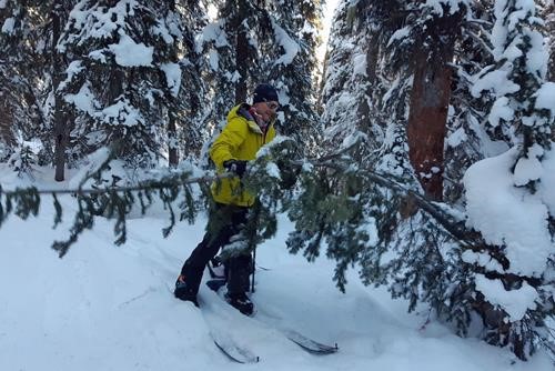 Rainer cutting away one of the dozen or so trees that we cleared (well really he)