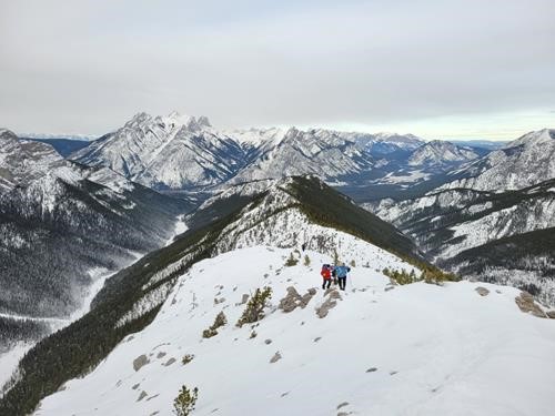 On the trail up