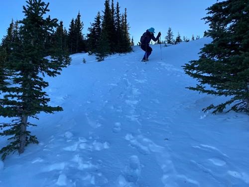 Trying to neither slide nor posthole on the descent back into the trees