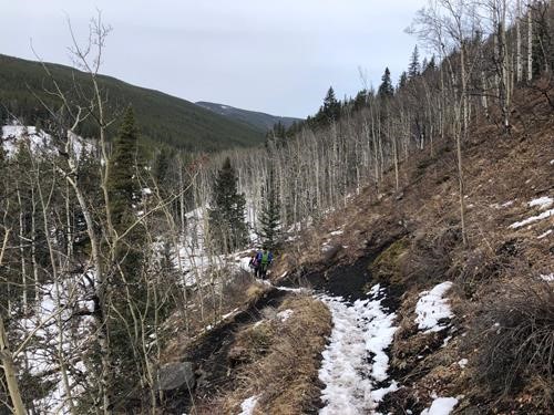 Elbow Valley Trail towards Canyon Creek